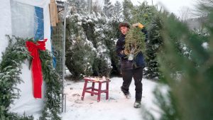 Vu d'ici_S28E11_TOPO2_SAPINS_SANS-CADRE