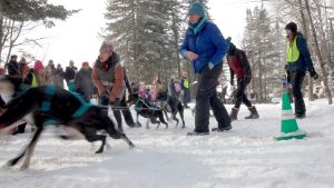 Vu d'ici_S29E01_TOPO3_BELLEBETE_SANS-CADRE