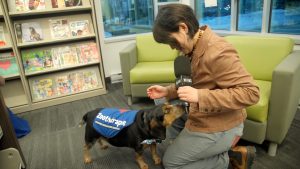 Vu d'ici_S29E10_TOPO2_ZOOTHERAPIE_SANS-CADRE