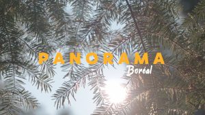 Panorama_Boreal